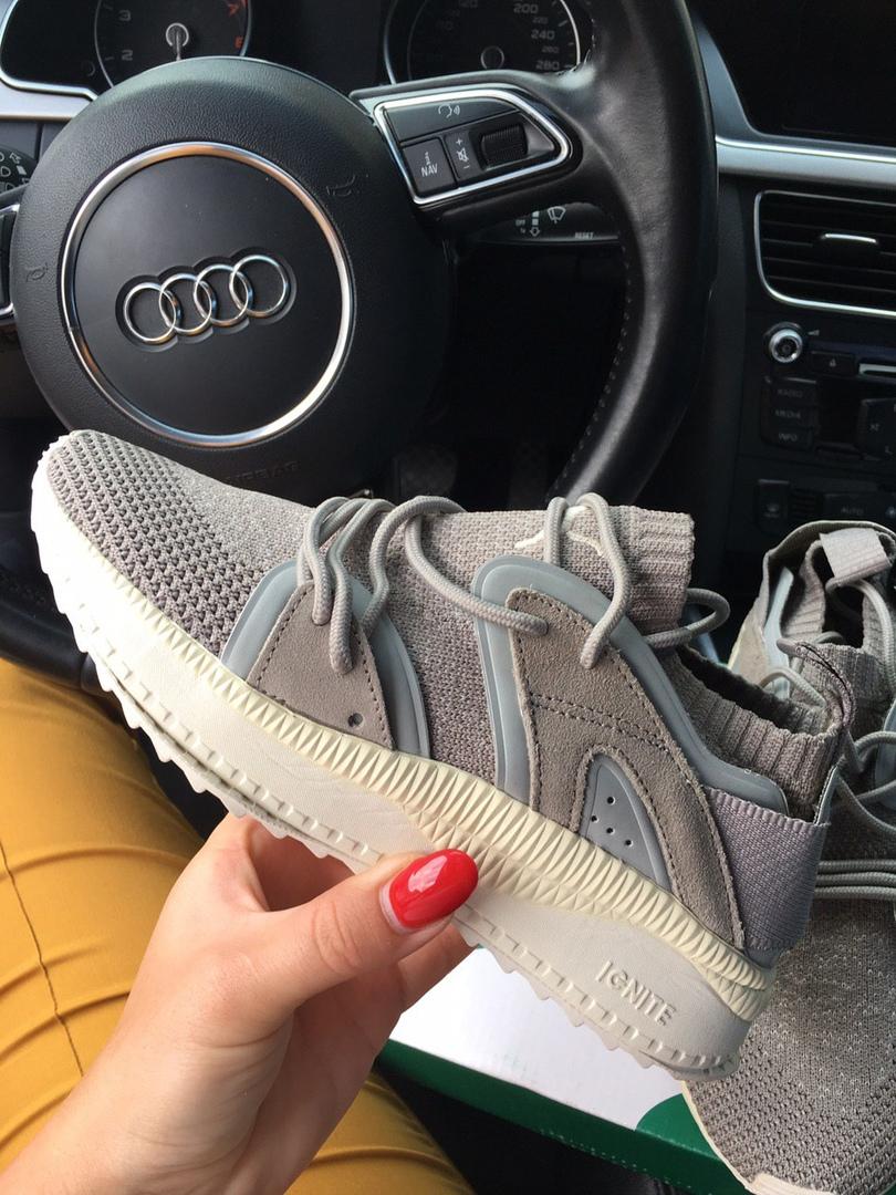 Puma Ignite Grey
