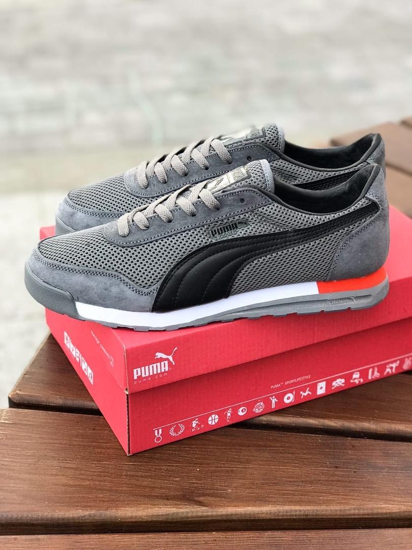 Puma Jogger Gray