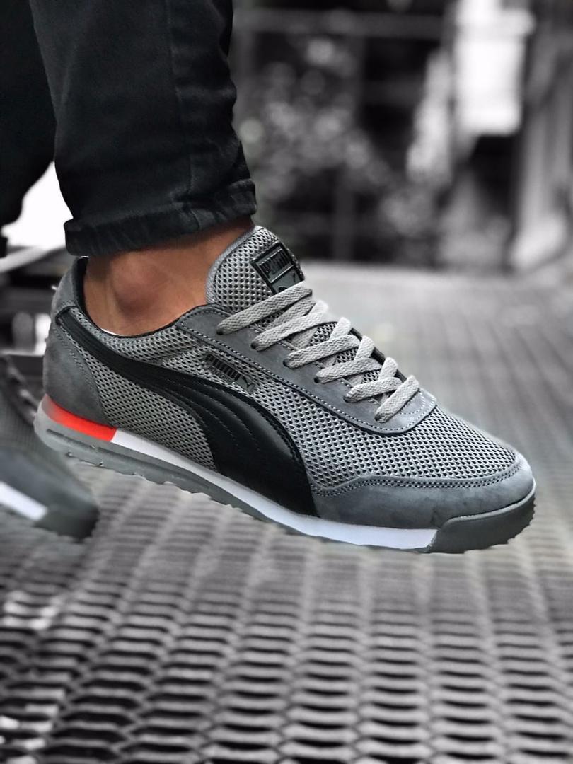 Puma Jogger Gray