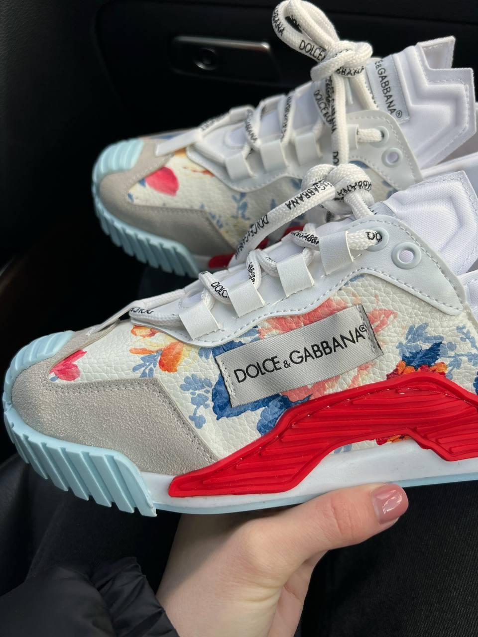 DG NS1 Multicolor