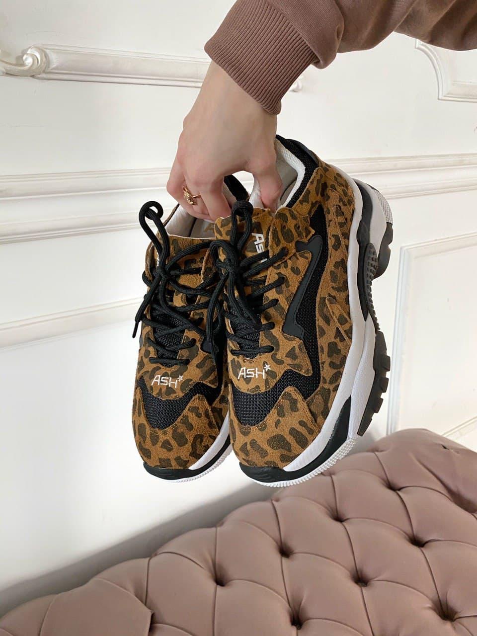 ASH Black Leopard
