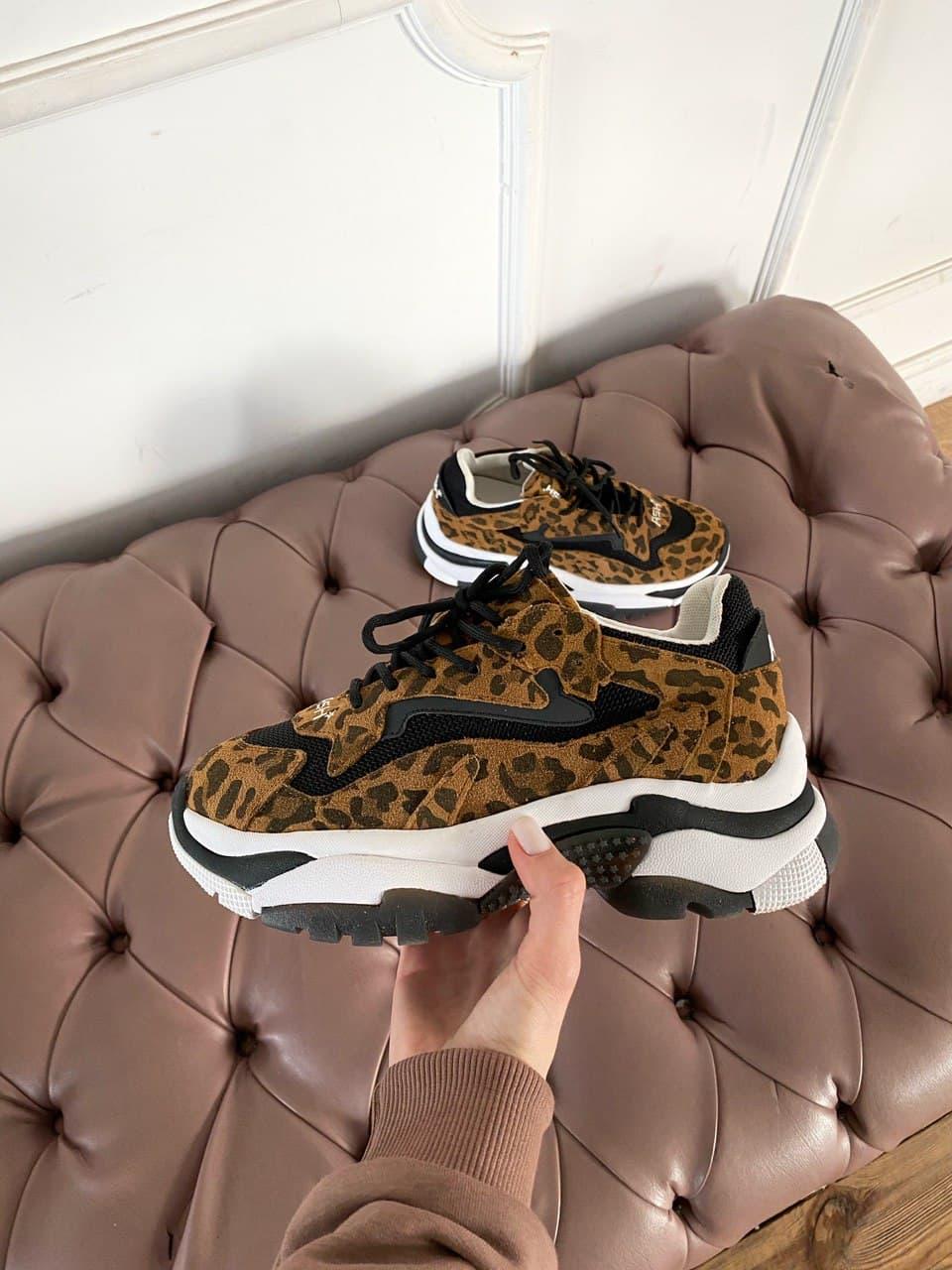 ASH Black Leopard