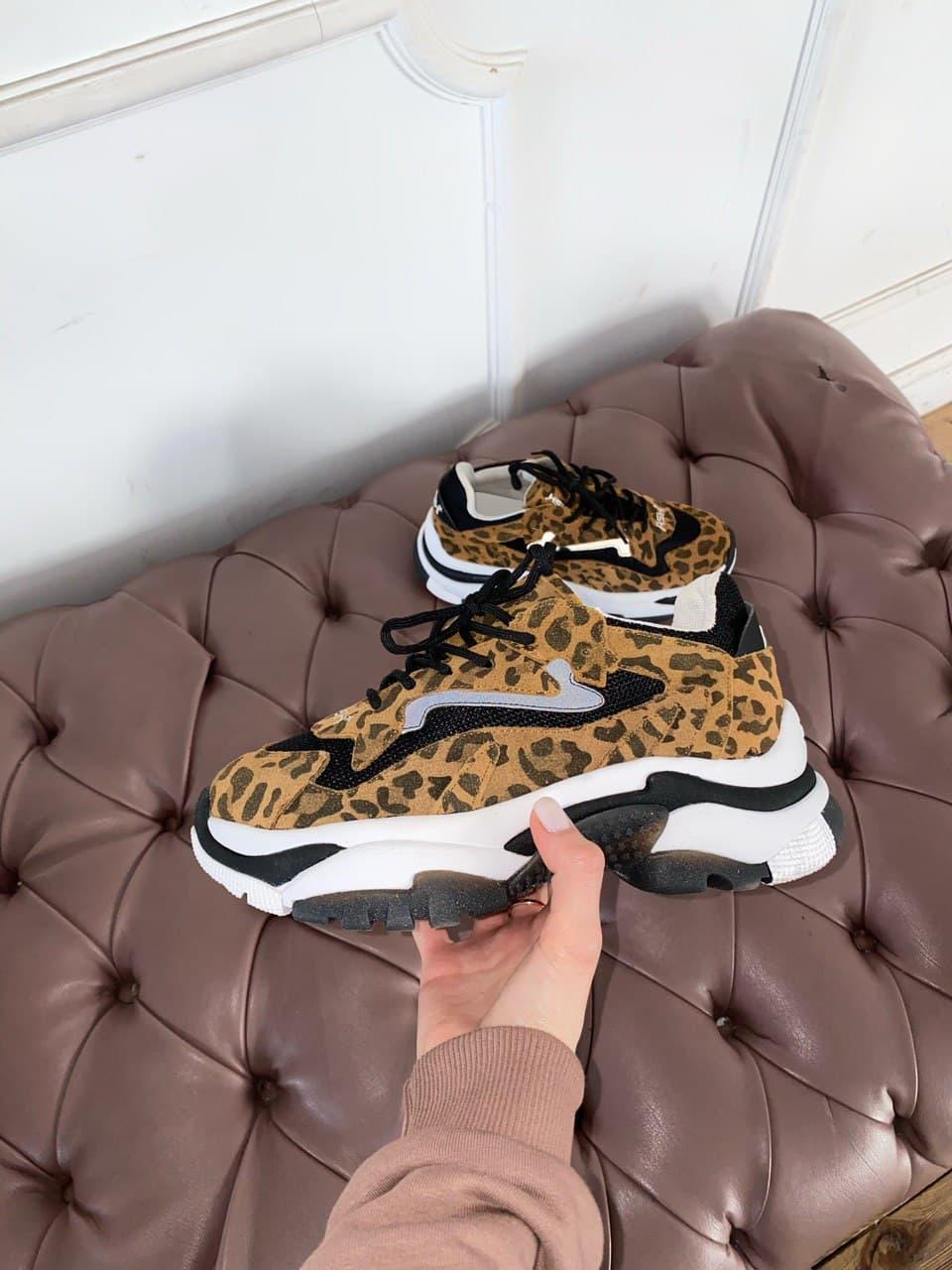 ASH Black Leopard