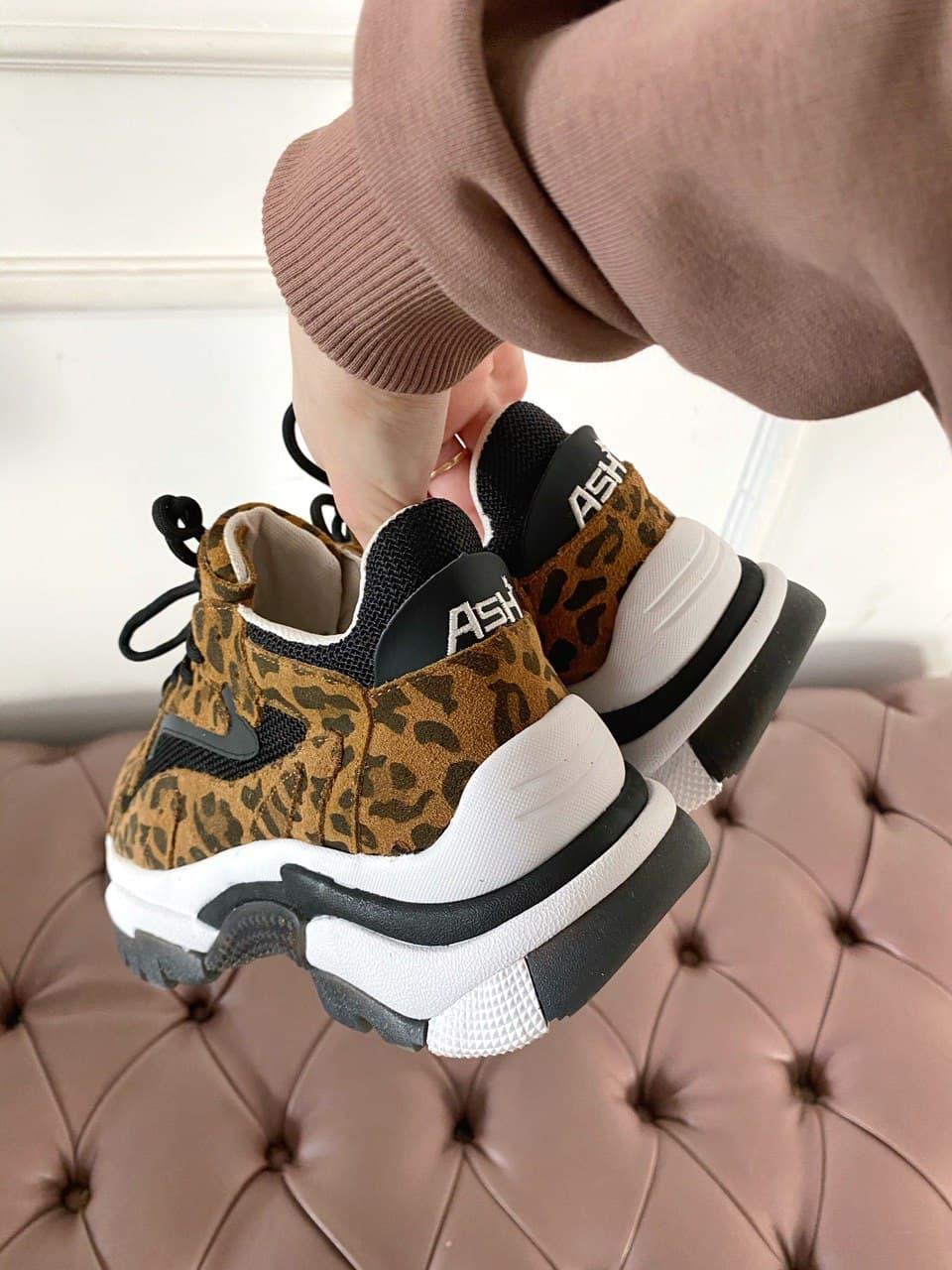 ASH Black Leopard