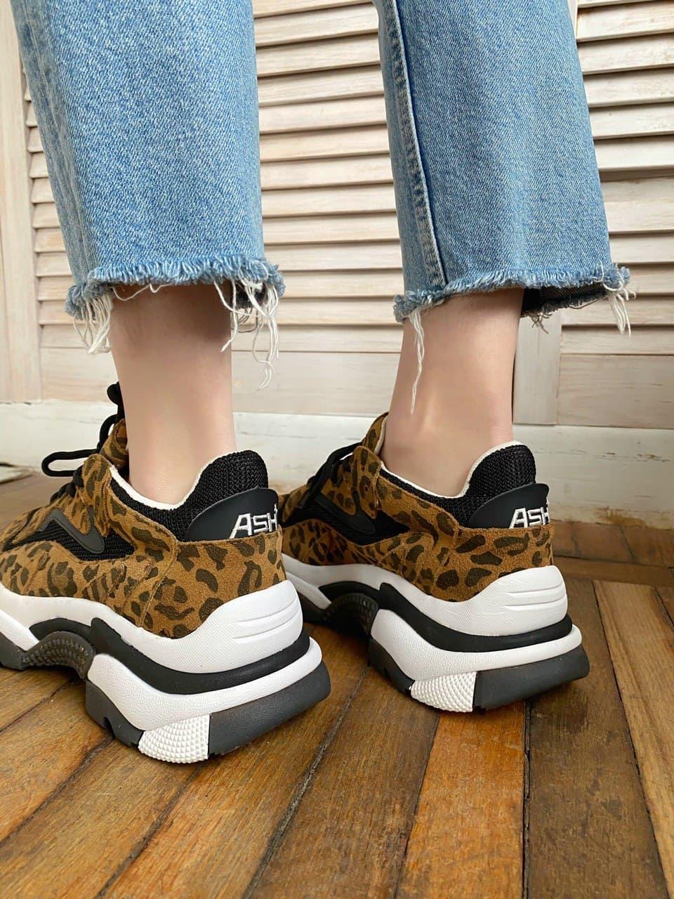 ASH Black Leopard