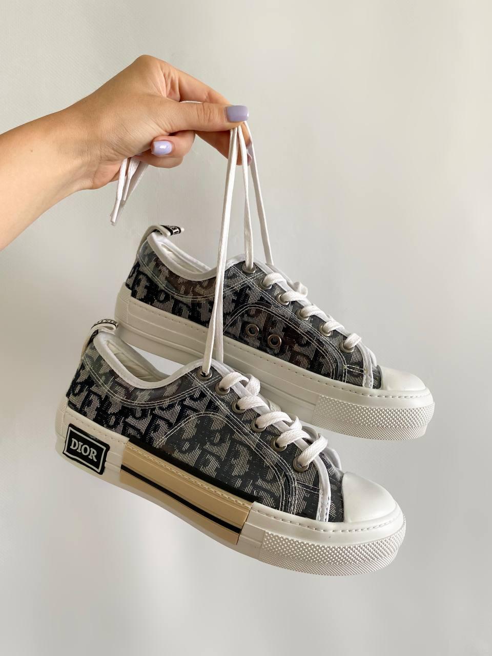 Dior B23 Low Logo Grey Premium v2