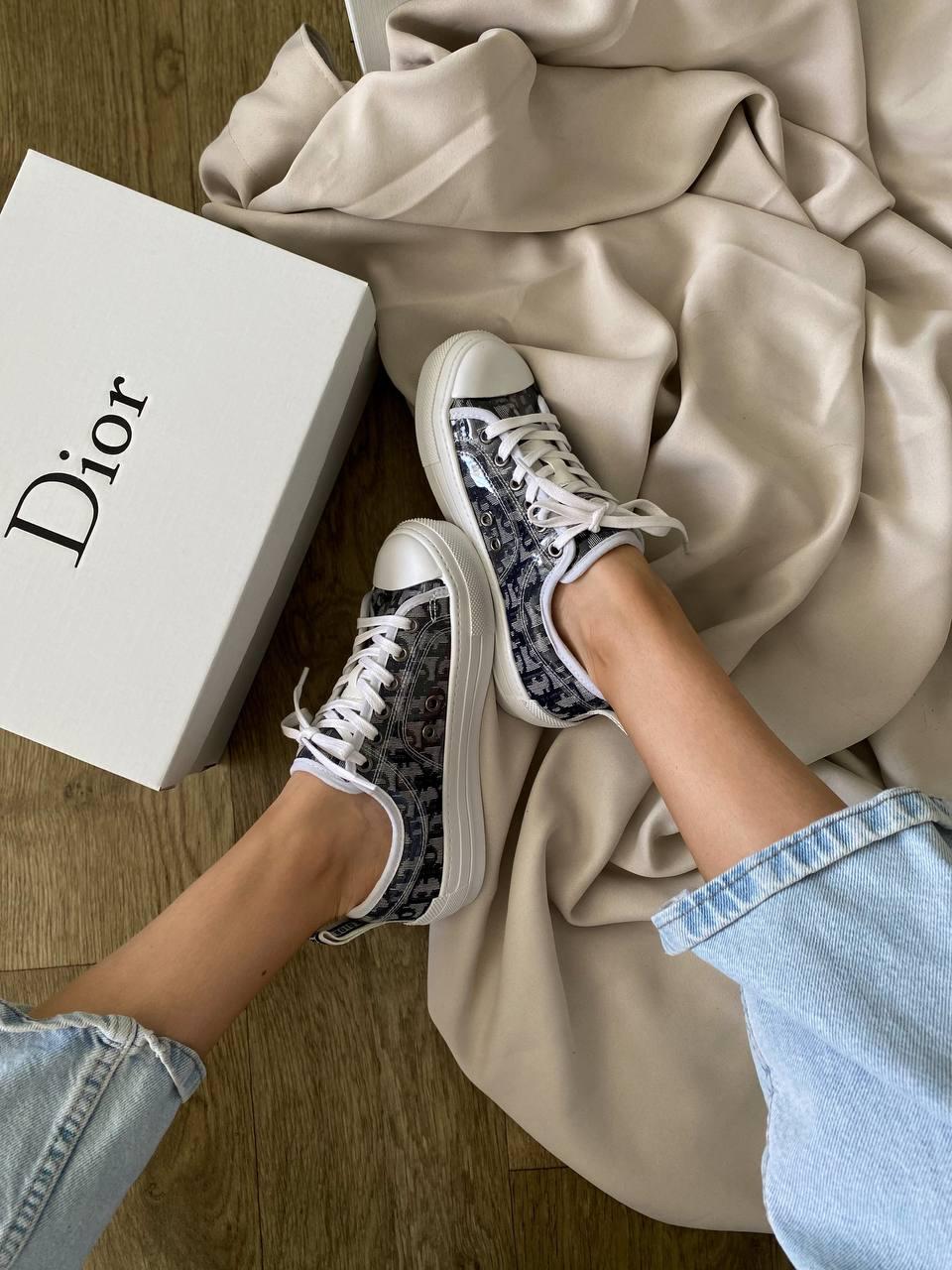 Dior B23 Low Logo Grey Premium v2