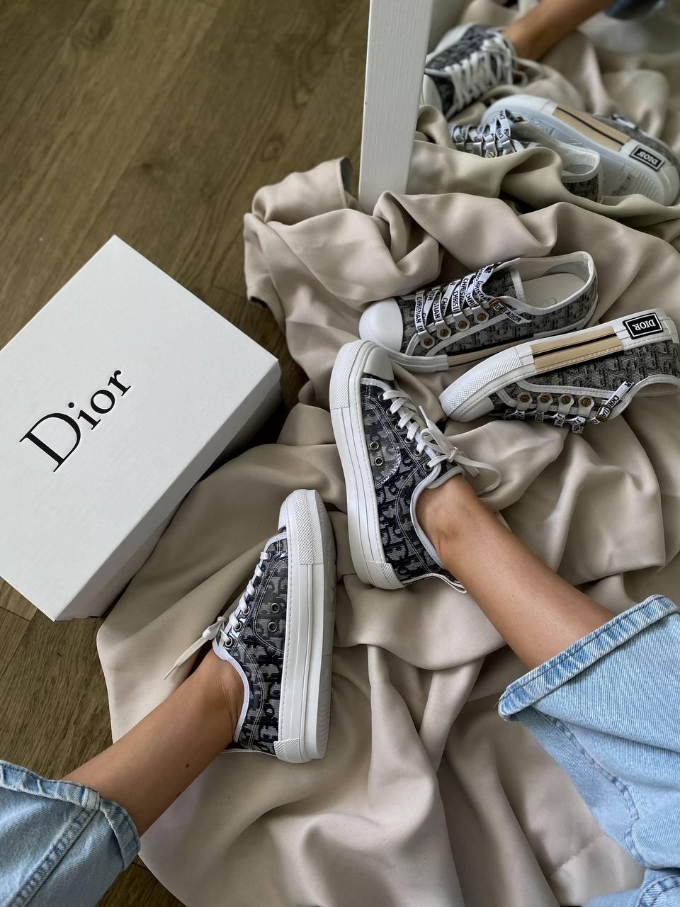 Dior B23 Low Logo Grey Premium v2