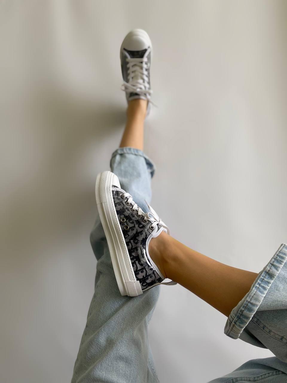 Dior B23 Low Logo Grey Premium v2