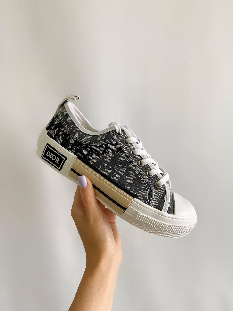 Dior B23 Low Logo Grey Premium v2