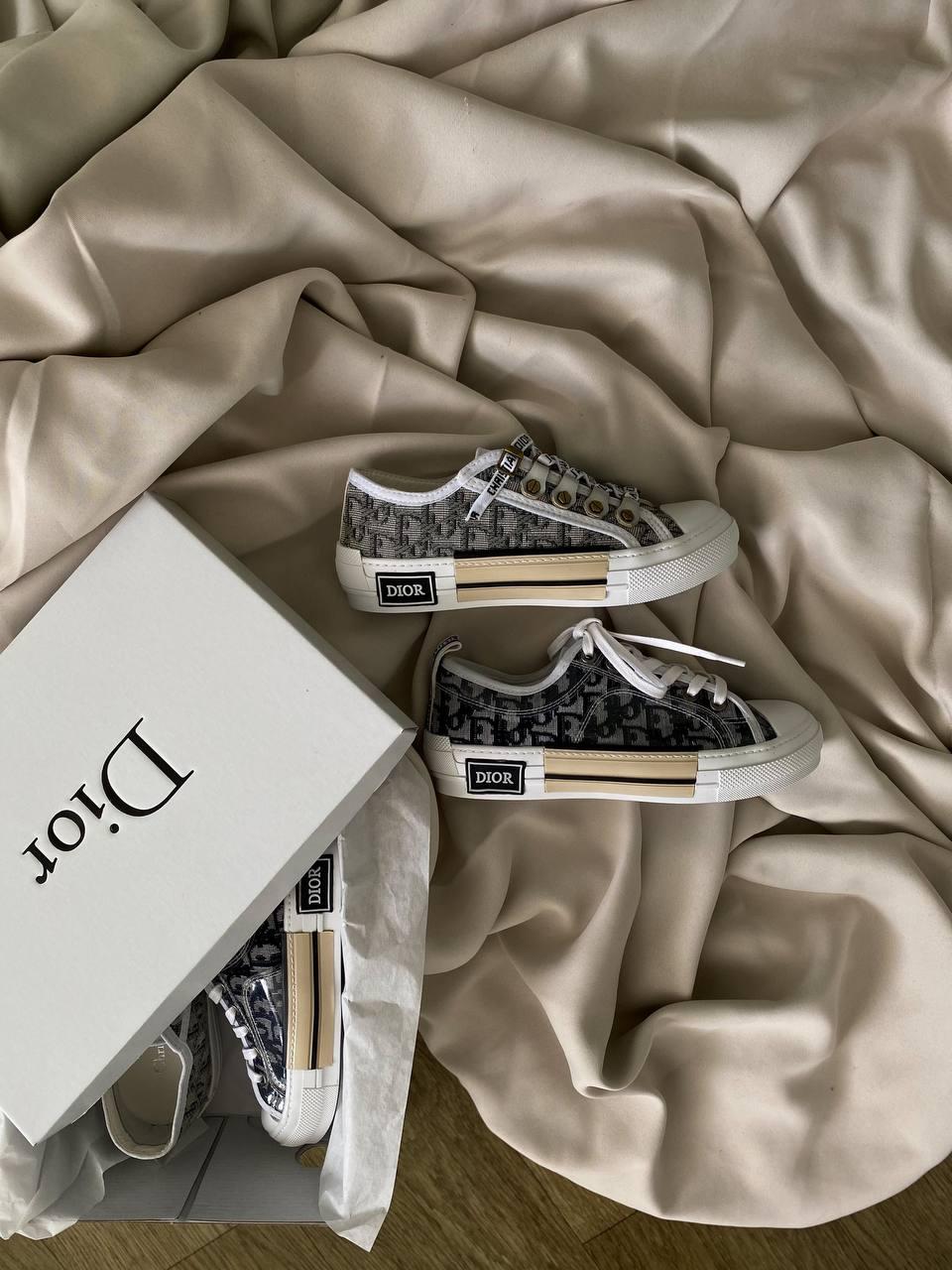 Dior B23 Low Logo Grey Premium v2