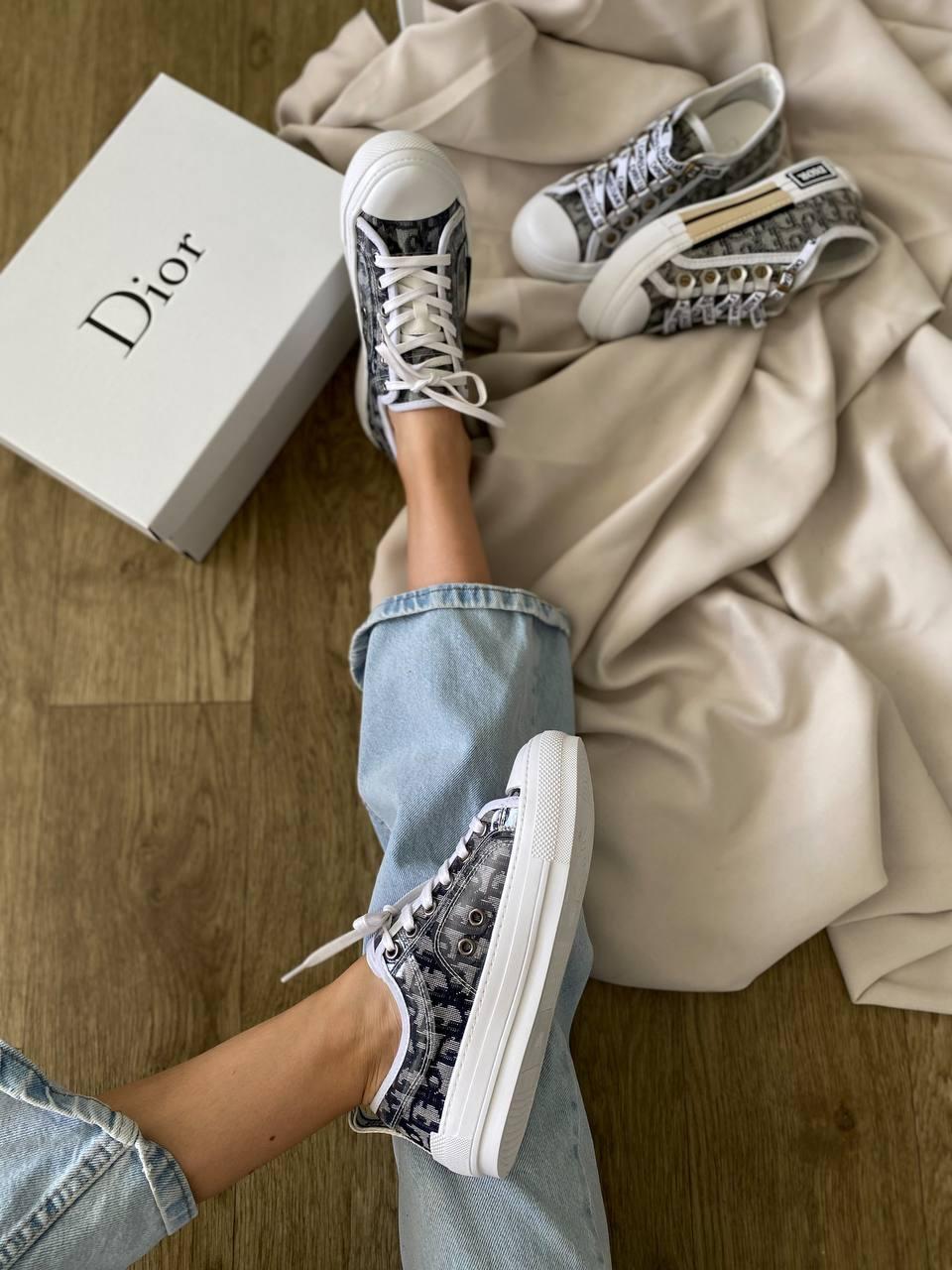 Dior B23 Low Logo Grey Premium v2