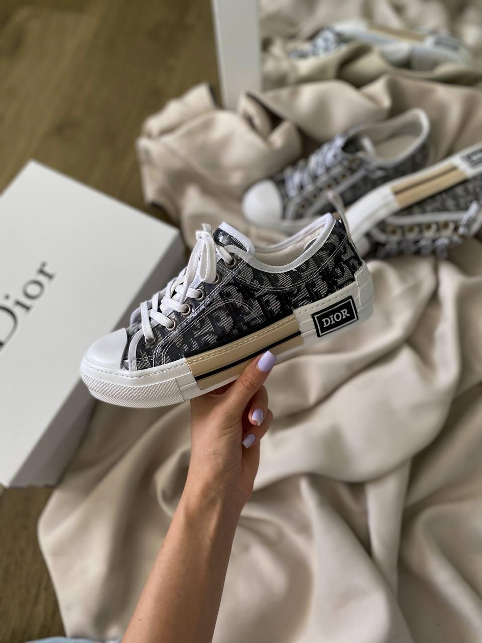 Dior B23 Low Logo Grey Premium v2