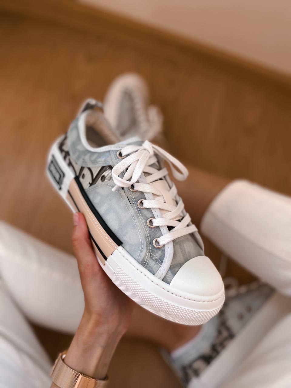 Dior B23 Low Logo Grey Premium