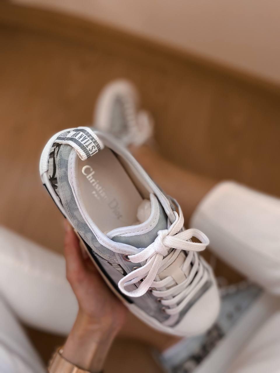 Dior B23 Low Logo Grey Premium