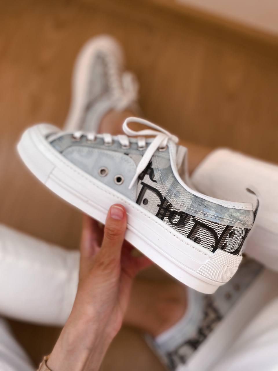 Dior B23 Low Logo Grey Premium