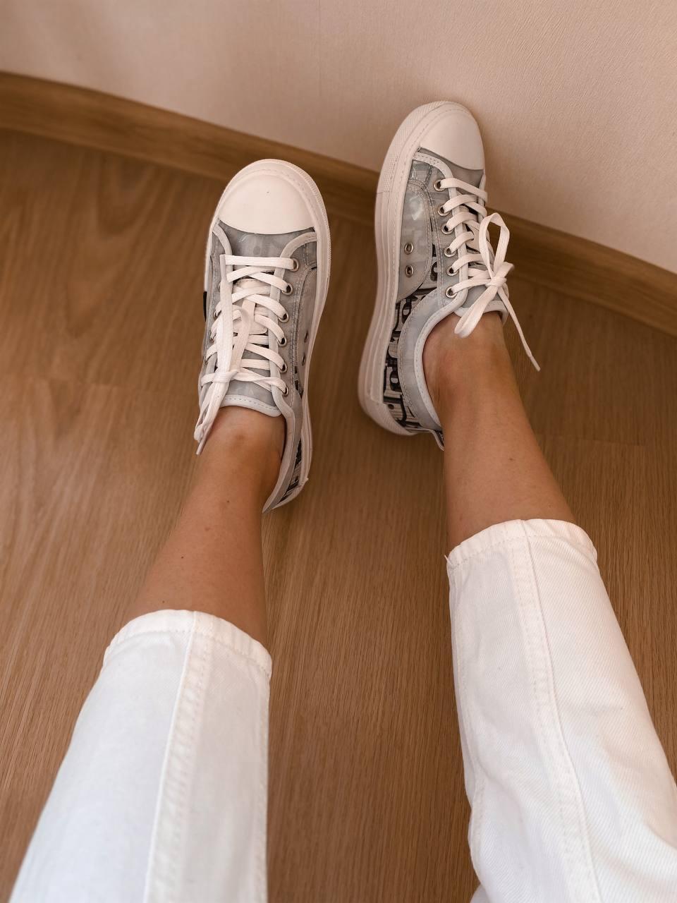 Dior B23 Low Logo Grey Premium