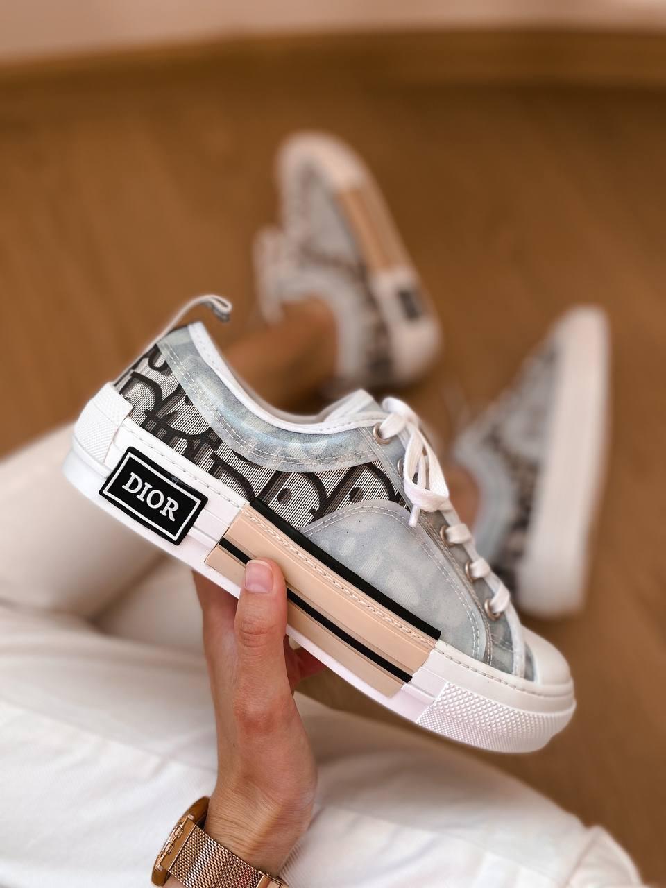 Dior B23 Low Logo Grey Premium