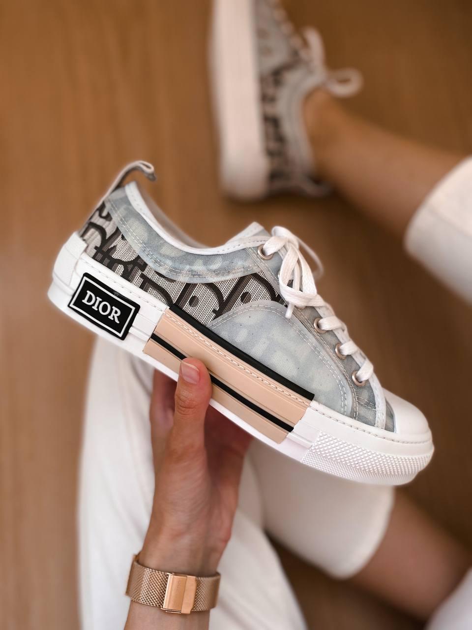 Dior B23 Low Logo Grey Premium