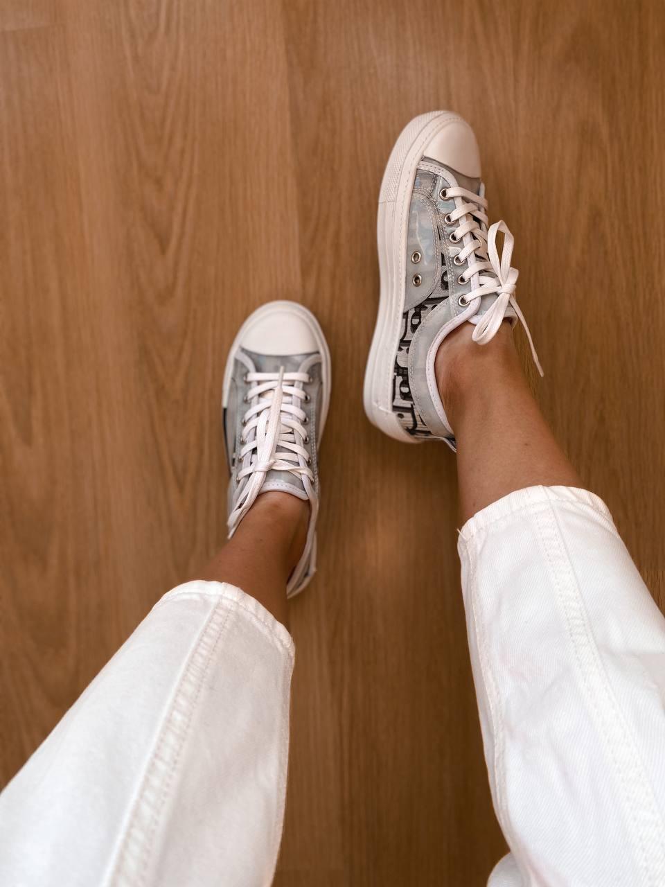 Dior B23 Low Logo Grey Premium