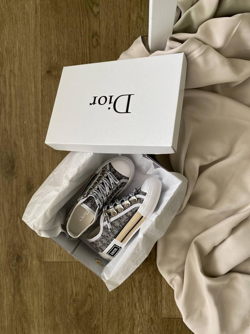 Dior B23 Low Logo Gray Beige Premium