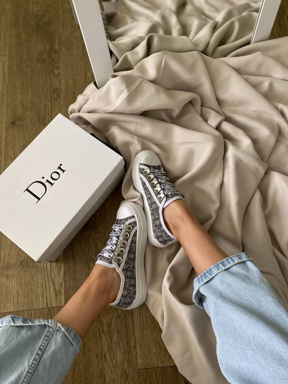 Dior B23 Low Logo Gray Beige Premium