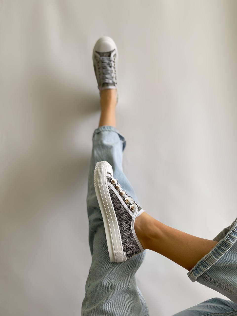 Dior B23 Low Logo Gray Beige Premium