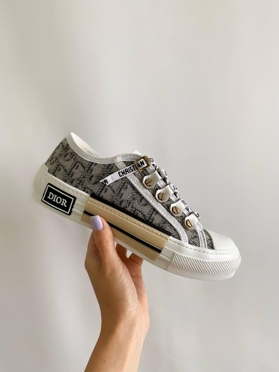 Dior B23 Low Logo Gray Beige Premium