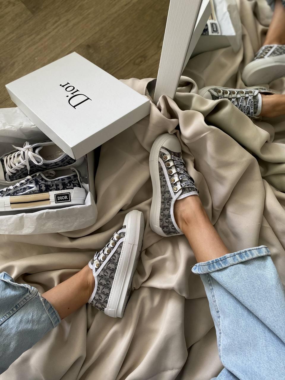 Dior B23 Low Logo Gray Beige Premium
