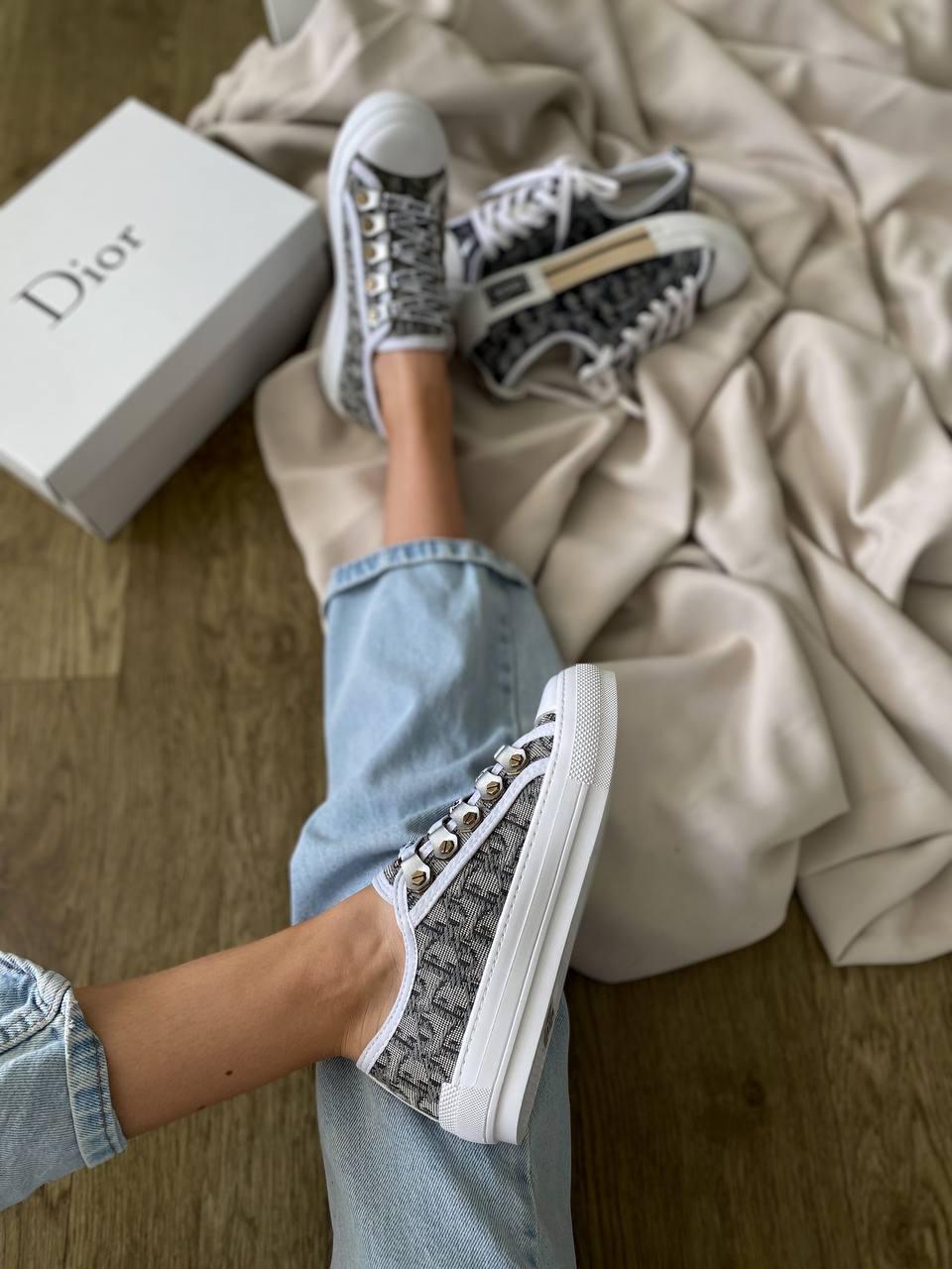 Dior B23 Low Logo Gray Beige Premium