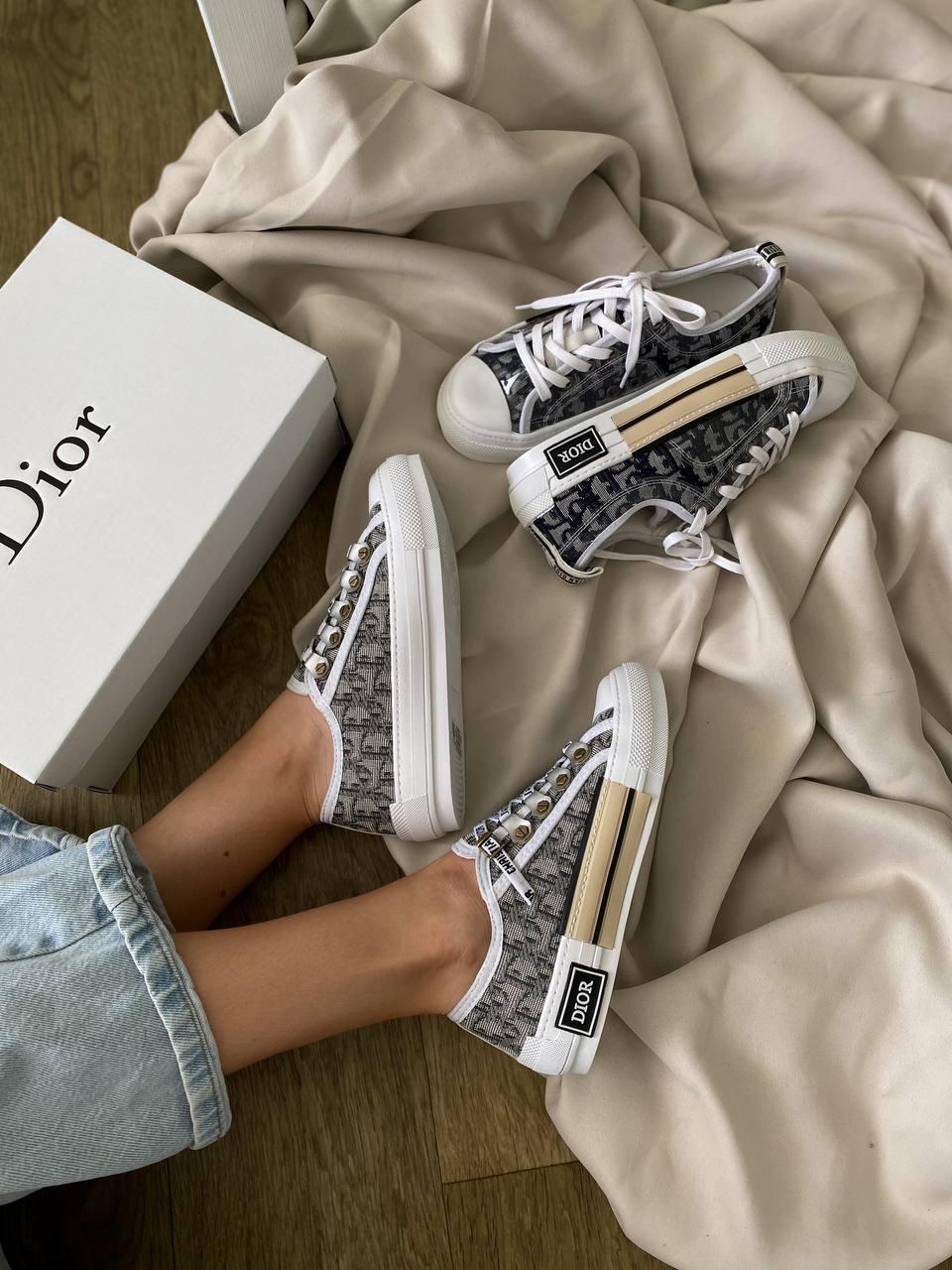 Dior B23 Low Logo Gray Beige Premium