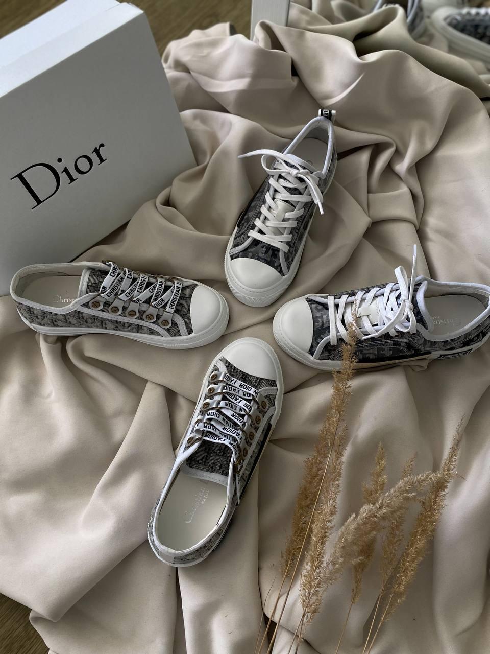 Dior B23 Low Logo Gray Beige Premium