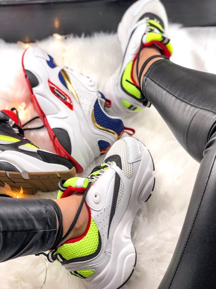 Dior Homme Black White Green Red