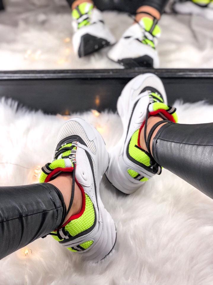 Dior Homme Black White Green Red