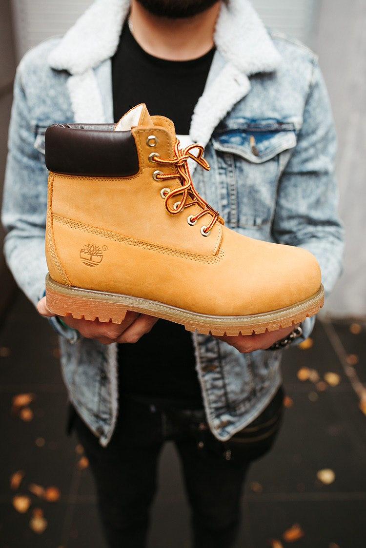 Timberland Ginger 1
