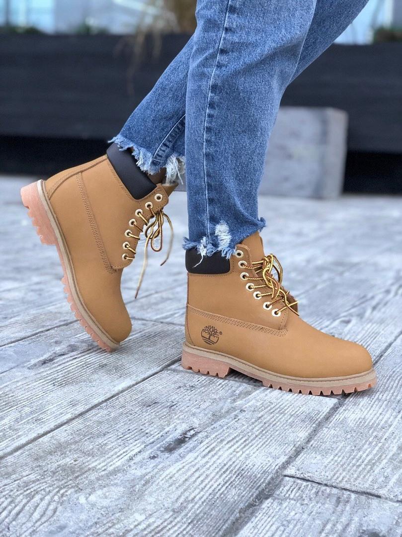 Timberland Ginger 2