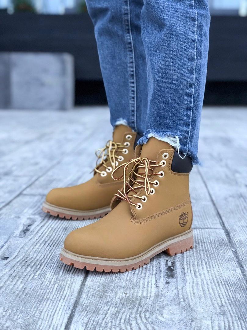 Timberland Ginger 2