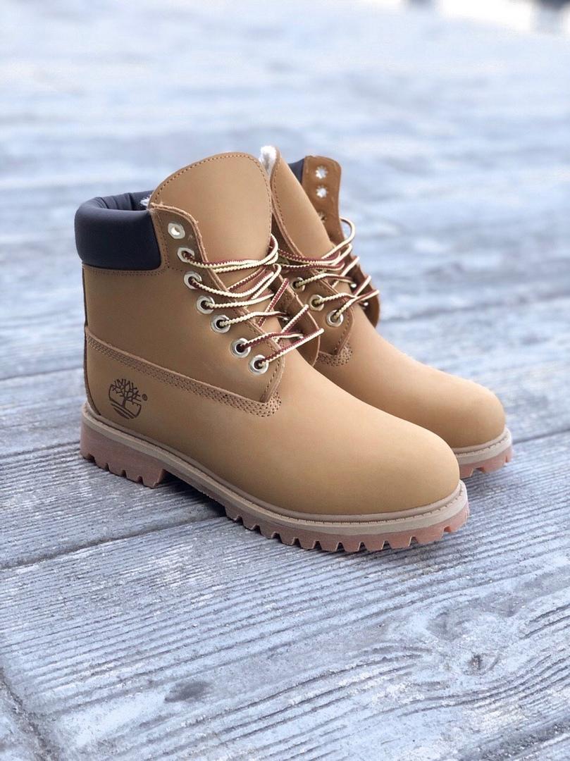 Timberland Ginger 2