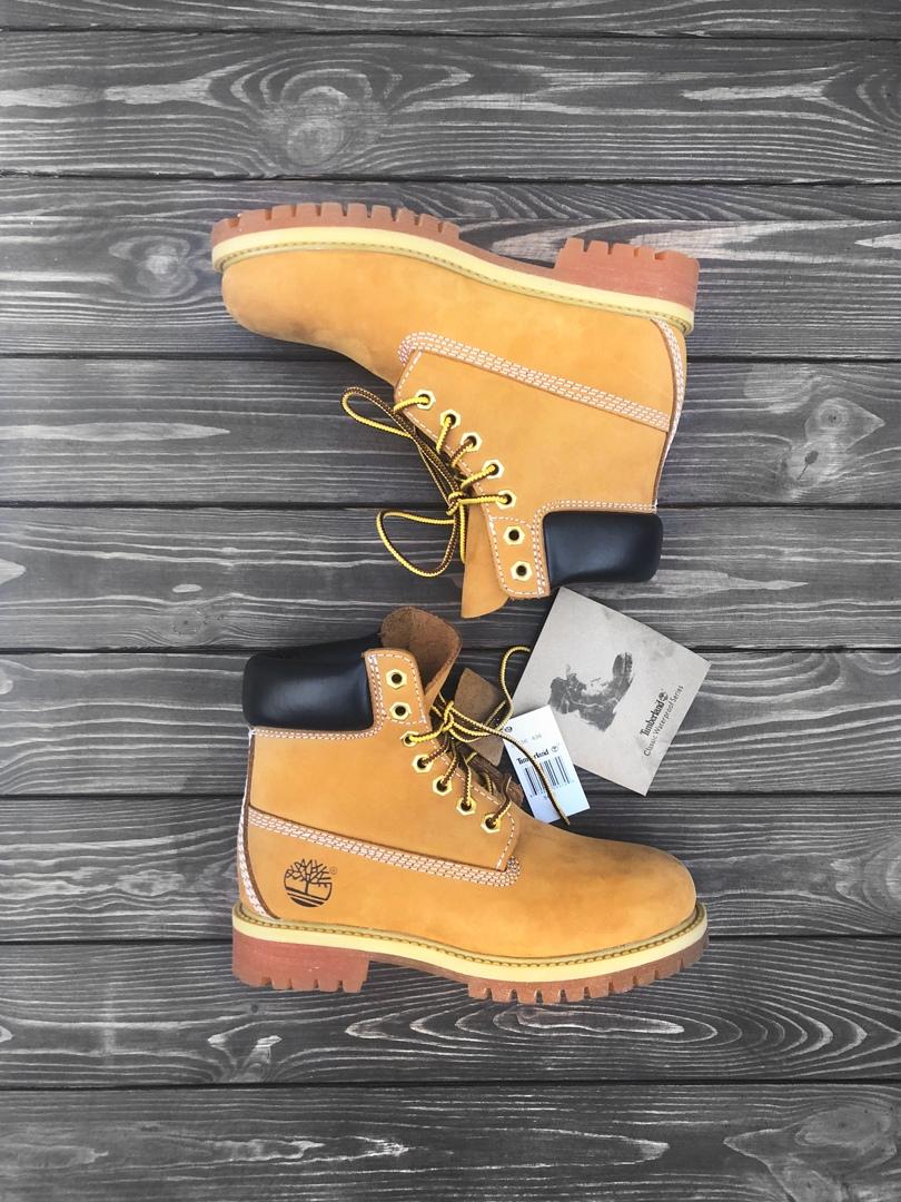 Timberland Ginger 3
