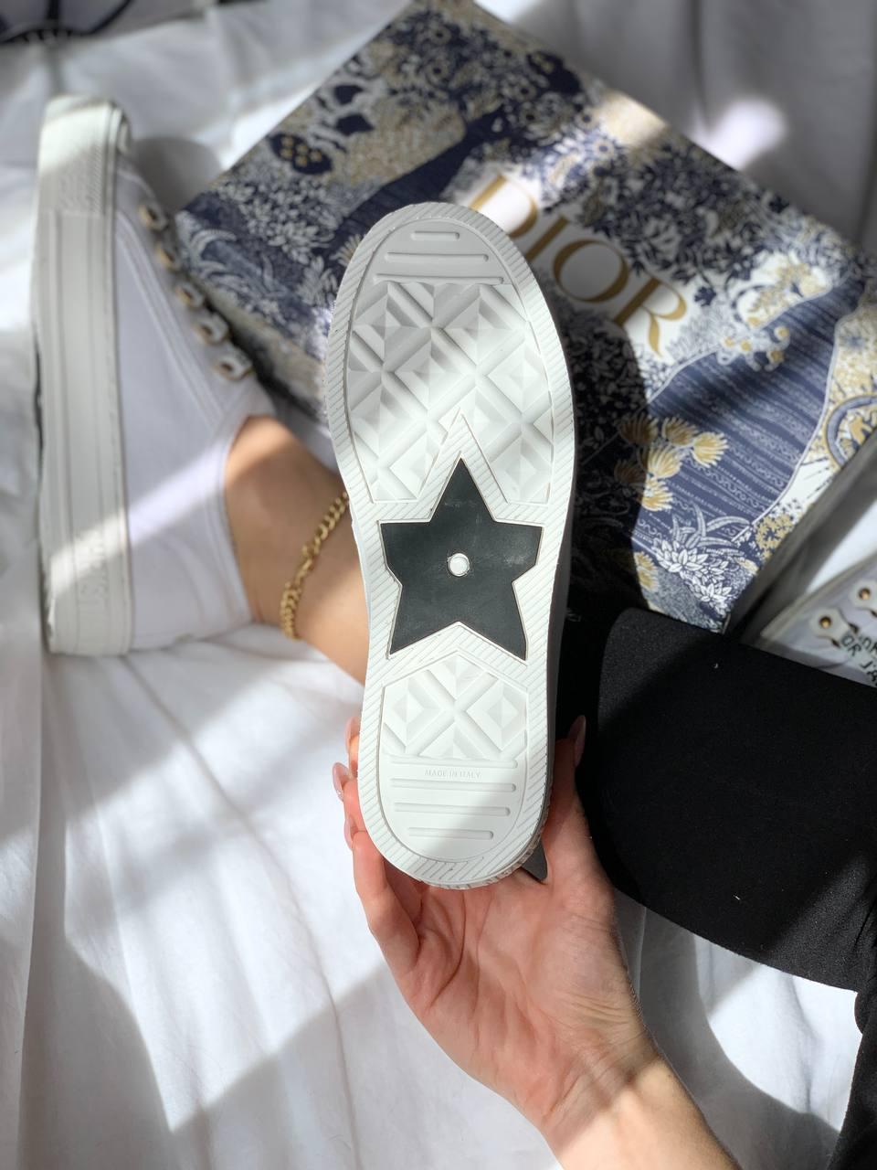 Dior Milk Shake 2