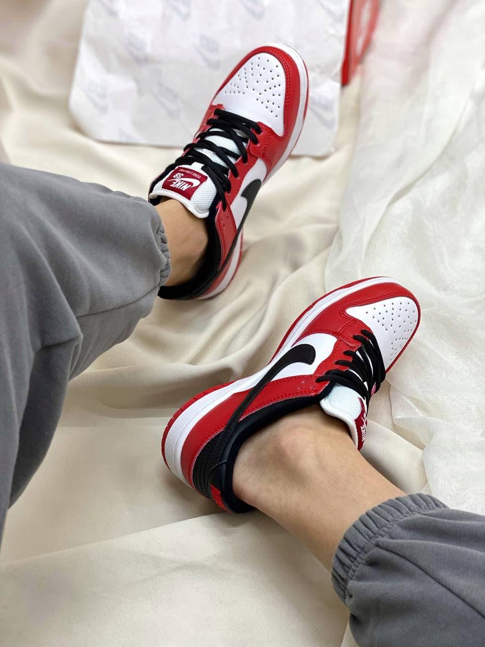Nike Dunk Disrupt Red White Black