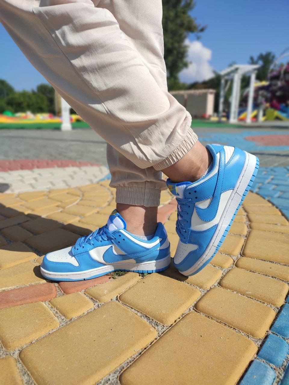 Nike SB Dunk White Blue