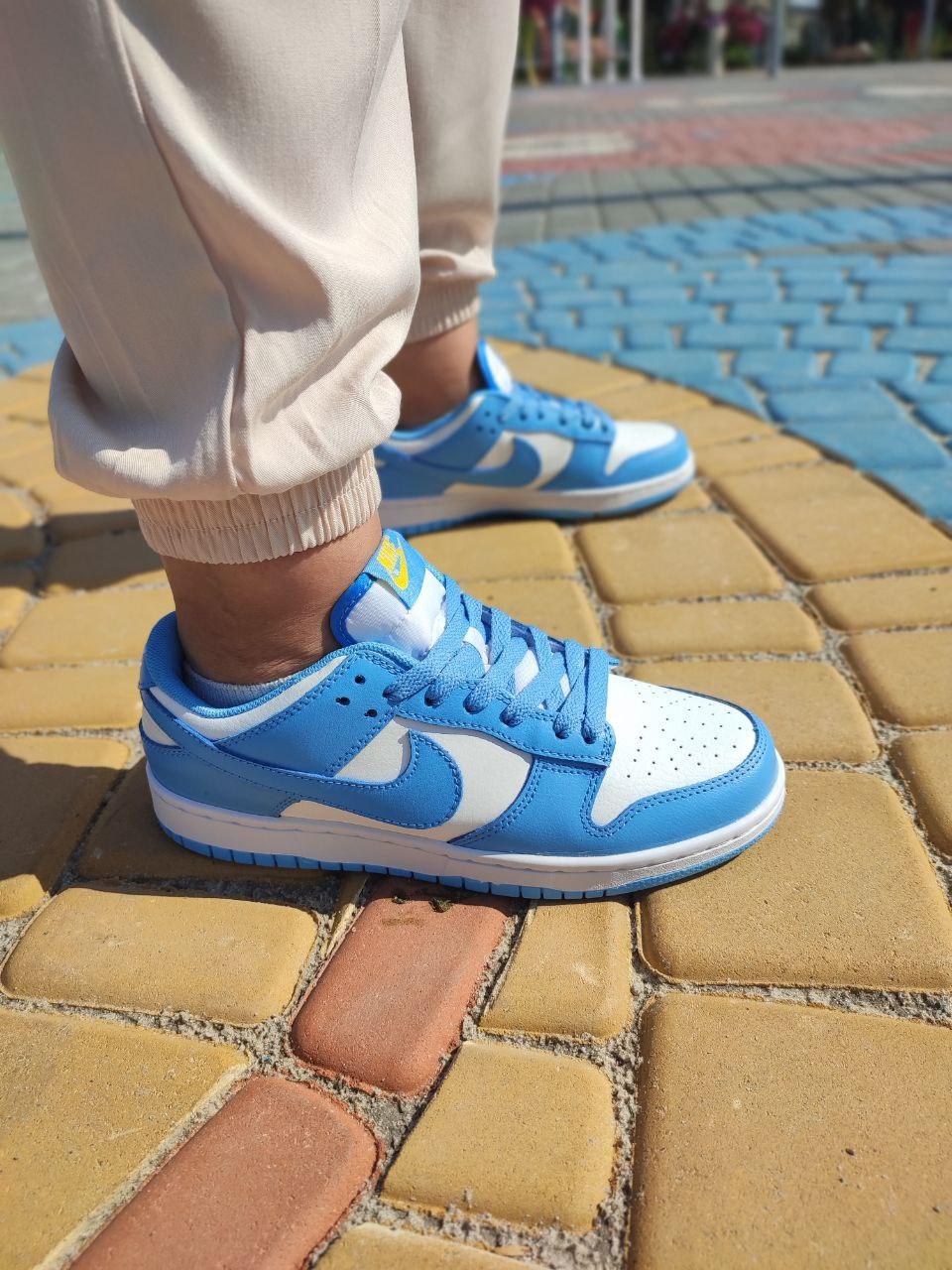 Nike SB Dunk White Blue
