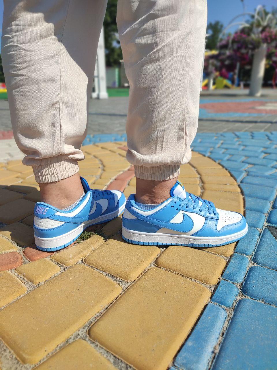 Nike SB Dunk White Blue