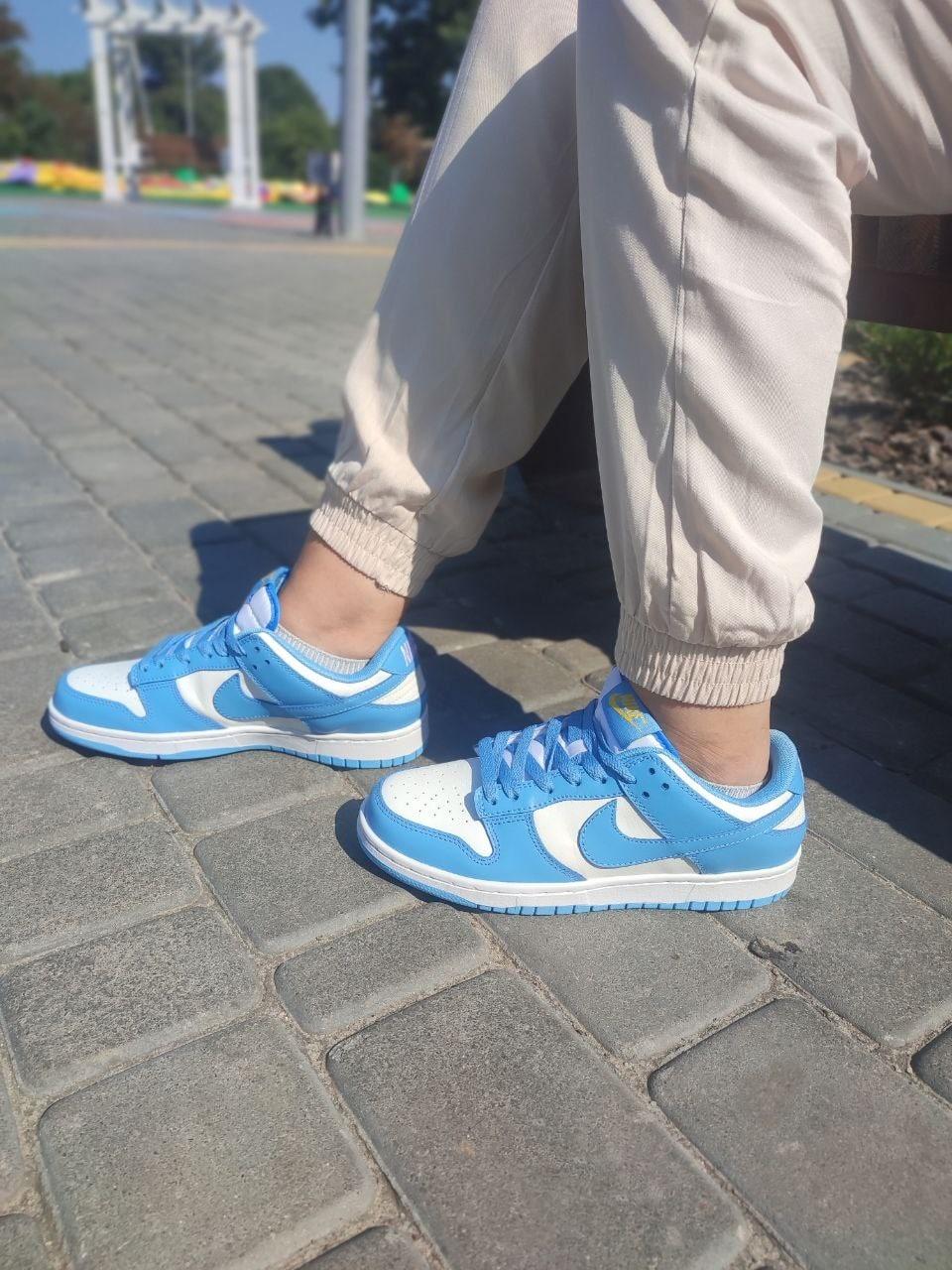Nike SB Dunk White Blue