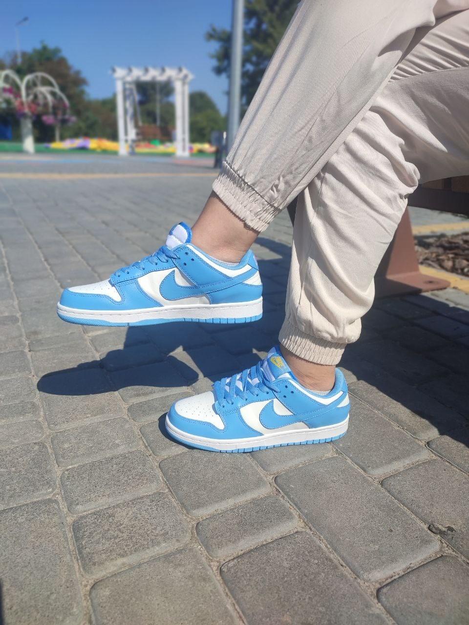 Nike SB Dunk White Blue