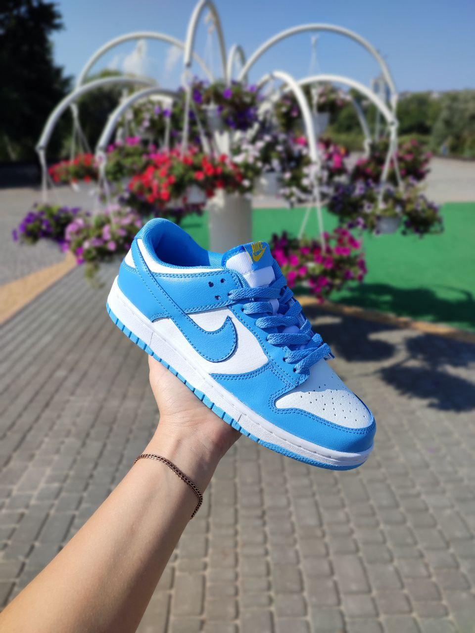 Nike SB Dunk White Blue