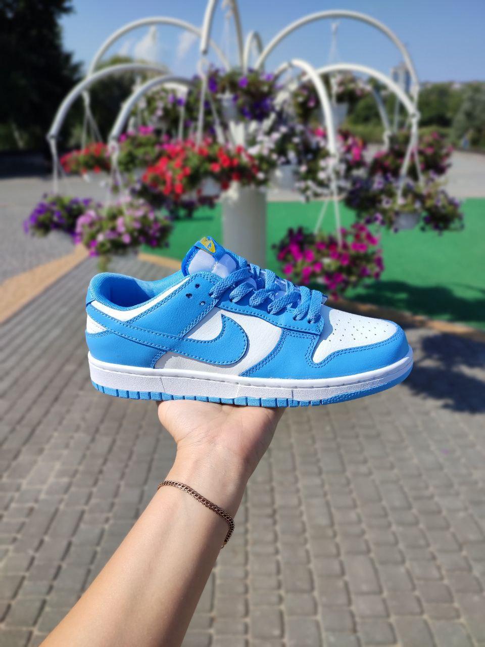 Nike SB Dunk White Blue