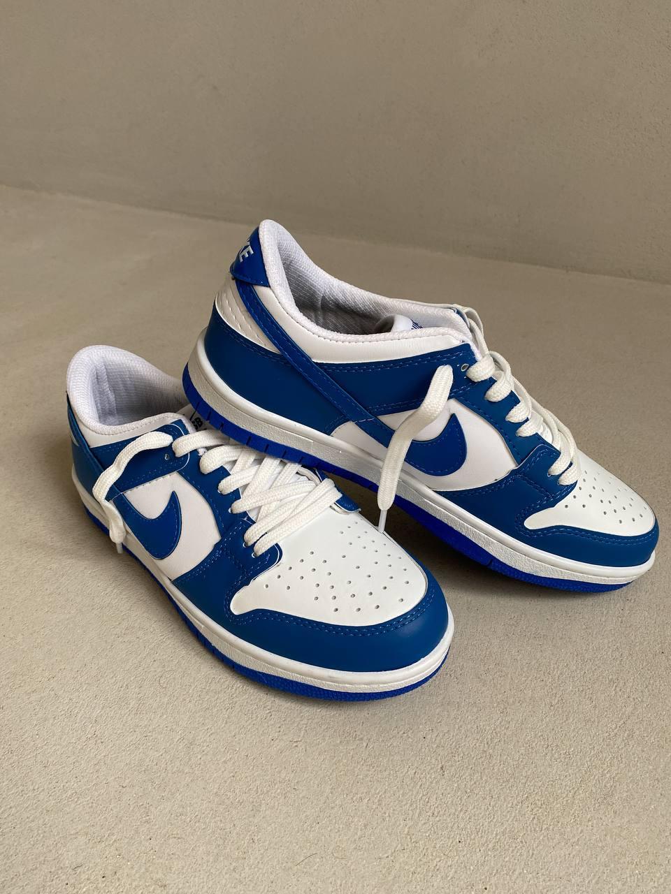 Nike Dunk Low Blue
