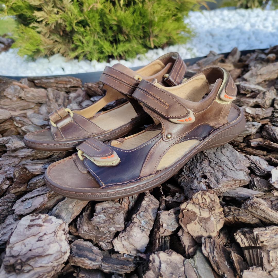 Polbut 535 Brown